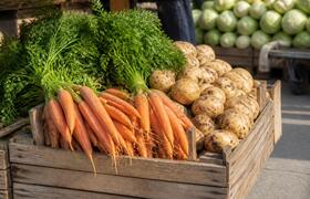 Морковь в Татарстане подорожала на 9,35% за неделю