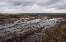 Почва в четырех районах Татарстана переувлажнил...