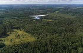 Весь лесной фонд Татарстана патрулируют с самол...