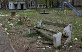 Спиливают ножки и вырубают деревья: как вандалы...