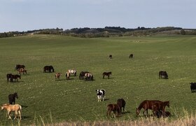 Татарстан первым в РФ начнет сбор отходов от жи...