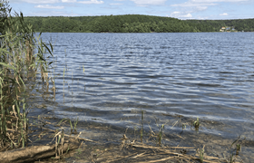 В Казани из-за прорыва канализации стоки текут ...