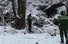 Огромную свалку площадью в тысячи квадратных ме...